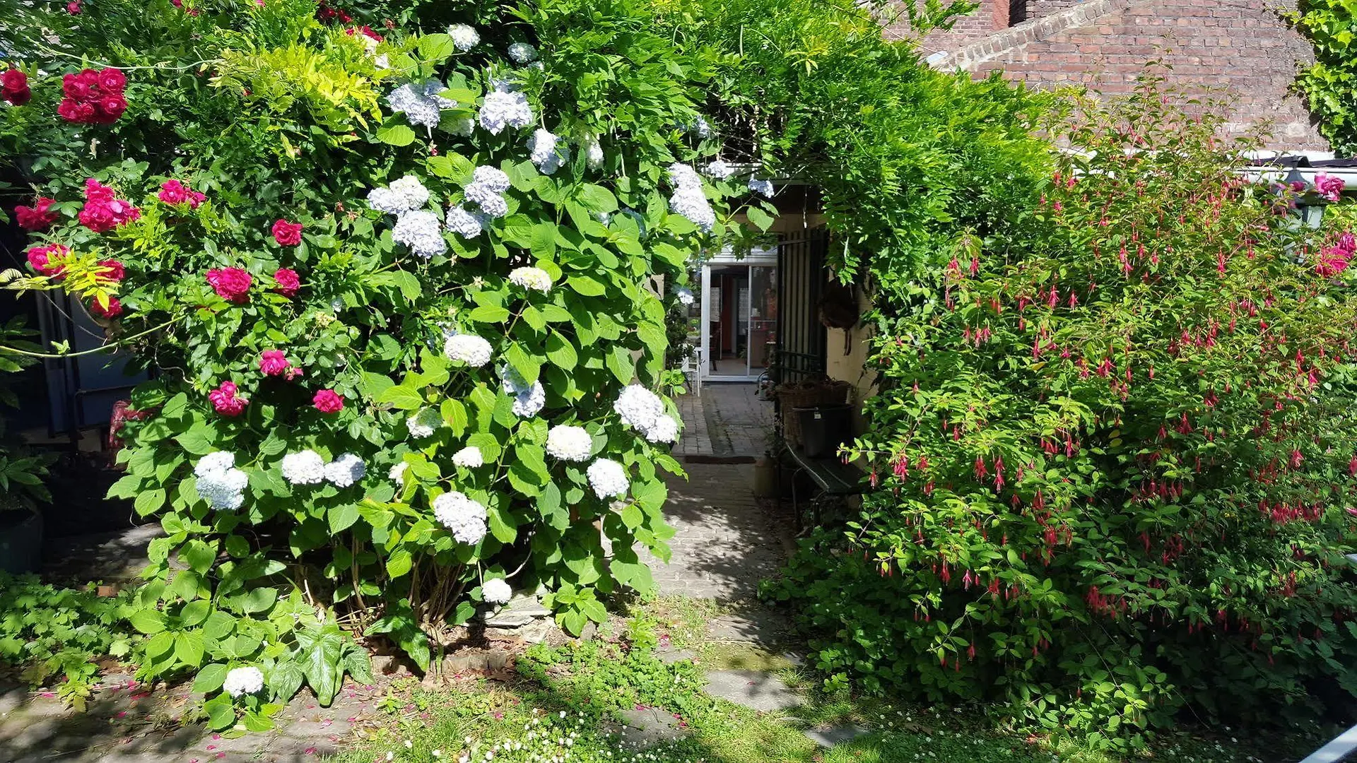 Au Troubadour Bed & Breakfast Lille